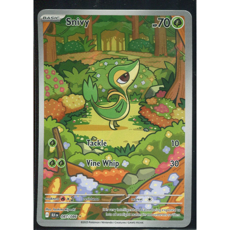 Snivy (BLK 087) Black Bolt