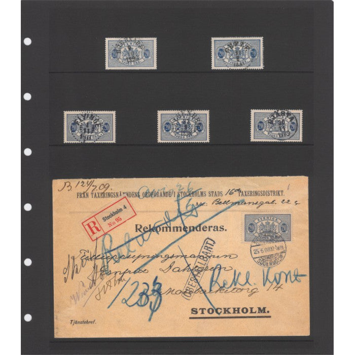 Insticksblad Visir svart kartong, 10-pack